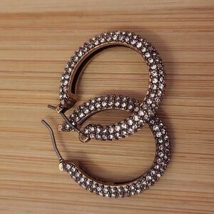 J. Crew Rounded Pave Hoop Earrings